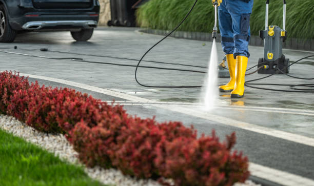 Spring Cleaning in Tahoe Vista, CA